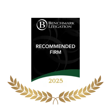 Benchmark Litigation